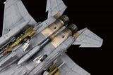 Lion Roar Aircraft 1/72 USAF F15E in Action OEF & OIF Fighter Kit