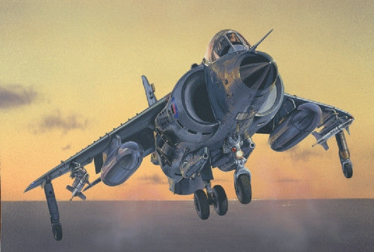 Italeri Aircraft 1/72 Sea Harrier FRS1 Fighter/Bomber Kit