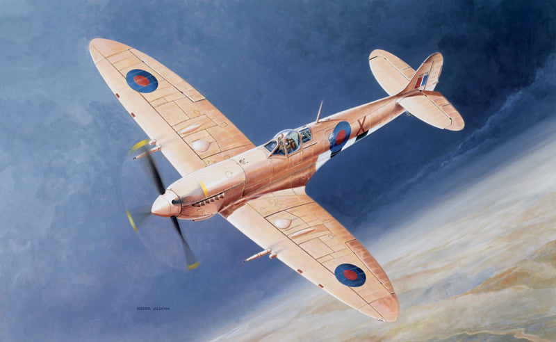 Italeri Aircraft 1/48 Spitfire Mk IX WWII Fighter Kit