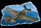 Hobby Boss Aircraft 1/72 P-40N Warhawk Kit