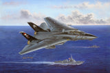 Hobby Boss Aircraft 1/48 F-14B Tomcat Kit