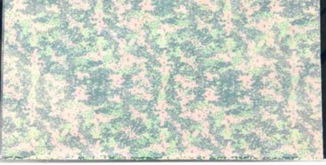 Meister Chronicle Decals 1/35 Camouflage Pattern SS Plane Tree Spring