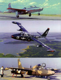Ginter Books Naval Fighters: Temco TT1 Pinto Trainer Aircraft