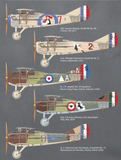 Eduard Aircraft 1/48 Spad XIII Early BiPlane Profi-Pack (Re-Issue) Kit