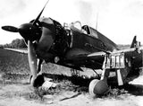 Canfora Publishing Aircraft Pictorial Series 2: Broken Wings Captured & Wrecked Allied Aircraft of the Blitzkrieg
