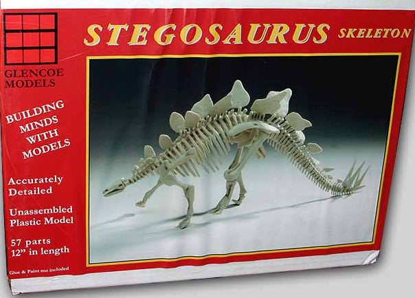 Glencoe Science 1/25 Stegosaurus Skeleton Kit