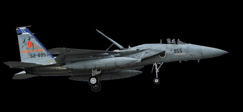 Hasegawa Aircraft 1/48 F-15J Eagle 204SQ Super Detail Ltd. Edition Kit