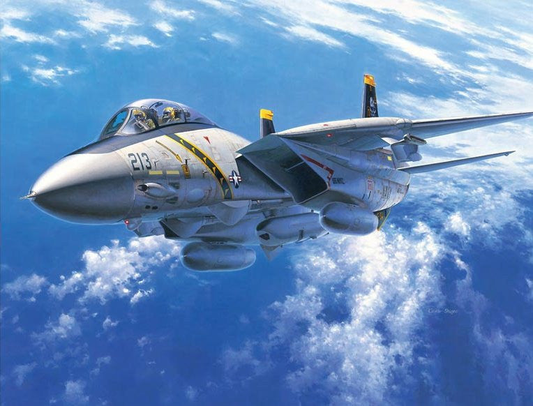 Hasegawa Aircraft 1/48 F14A Tomcat USN Fighter Kit