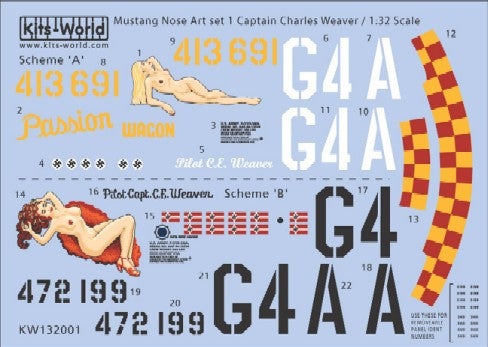 Warbird Decals 1/32 P51D Passion Wagon Scheme A/B